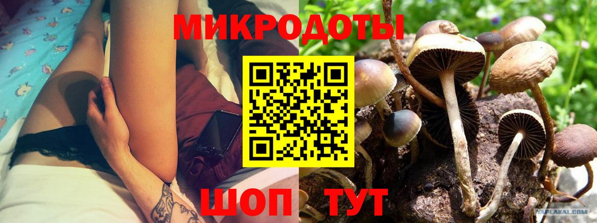 Псилоцибиновые грибы MAGIC MUSHROOMS Тара